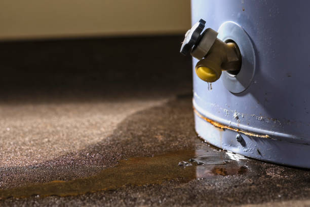 Best Ceiling water damage repair  in Milton, WA