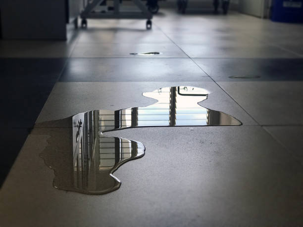 Best Water damage restoration near me  in Milton, WA