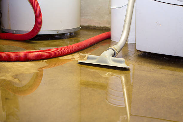 Best 24/7 water damage repair  in Milton, WA