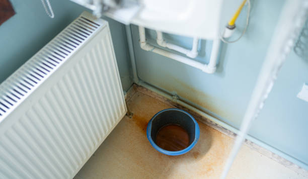 Best Basement water damage restoration  in Milton, WA