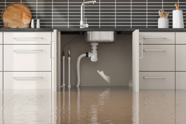 Best Water damage restoration near me  in Milton, WA